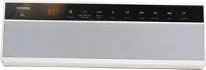 Tecsun B5 Wireless Bluetooth Speaker with Digtial Radio and MP3 Player - White