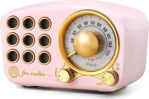 Retro Bluetooth Speaker FM Vintage Radio with Loud Volume, Strong Bass Enhancement, Bluetooth 5.0 Wireless Connection, Loud Volume,TF Card & MP3 Player (Pink)