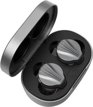 FiiO FW3 True Wireless Earbud, Bluetooth 5.2 LDAC/aptX Adaptive, 10mm Drivers with Big Bass, App for Custom EQ, 21H Playtime (Grey)
