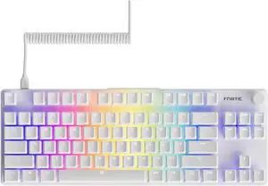 Fnatic STREAK80 LP White TKL Mechanical Low Profile Pro Gaming Keyboard, Speed Switches with Short Key-Travel, LED RGB, PBT Keycaps, Silent PORON Foam, US ANSI Layout QWERTY