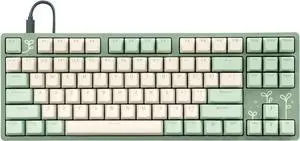 DROP Expression Series Shinai TKL Mechanical Keyboard - Holy Panda X Tactile Switches - PBT Double-Shot Keycaps - LED Backlight - Green
