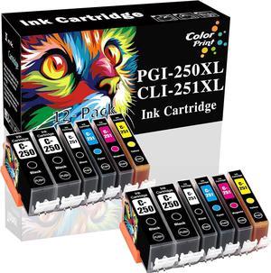 12-Pack ColorPrint Compatible Ink Cartridge Replacement for PGI-250 XL CLI-251 XL PGI250 CLI251 PGI250XL CLI251XL PIXMA MX922 MX920 iX6820 IP7220 MG6320 MG5420 MG5520 MX722 Printer(4XLBK,2BK,2C,2M,2Y)