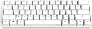 CORN Anne Pro 2 Mechanical Gaming Keyboard 60% True RGB Backlit - Wired/Wireless Bluetooth 5.0 PBT Type-c Up to 8 Hours Extended Battery Life, Full Keys Programmable (Gateron Red, White)