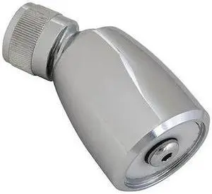 CHICAGO FAUCET 620-LCP Shower Head, Chrome, Wall