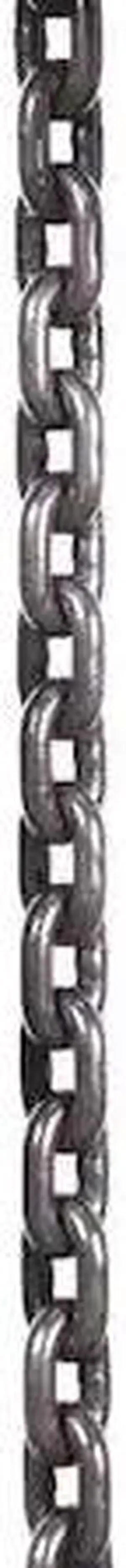 DAYTON GGS_56924 Load Chain Hoist