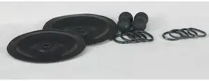 DAYTON 22A611 Pump Repair Kit,Santoprene,Fluid,1/2 In