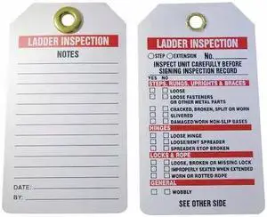 ACCUFORM 43Z340 Inspection Tag,5-3/4 x 3-1/4,PK25
