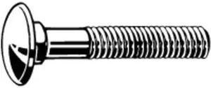 ZORO SELECT M51500.050.0040 Carriage Bolt,Square,A2,SS,M5-0.80,PK100