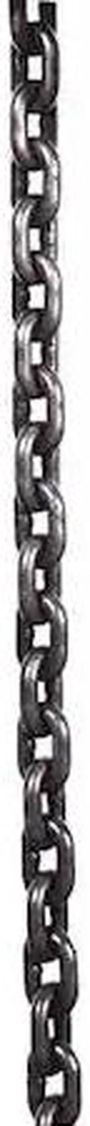 DAYTON GGS_57007 Load Chain Hoist