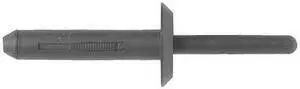 ZORO SELECT 9128PK Blind Rivet, Dome Head, 1/4 in Dia., 1-1/4 in L, Nylon Body,