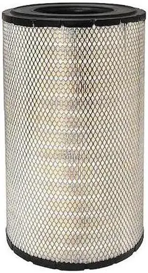 BALDWIN FILTERS RS3888 Air Filter,10-31/32 x 18-7/8 in.
