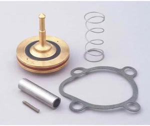 DAYTON 066058 Valve Rebuild Kit,With Instructions