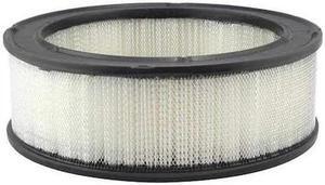 BALDWIN FILTERS PA607 Air Filter,10 and 10-1/4 x 3-1/4 in.