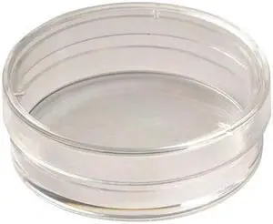ZORO SELECT 11L822 35x10mm TC Treated Dish,PK500 (Formerly Lab Safety Supply)