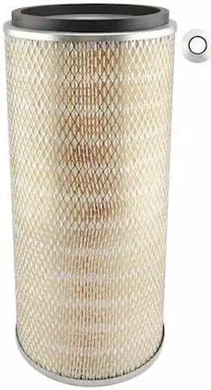 BALDWIN FILTERS PA2484 Air Filter,7-15/16 x 16-1/2 in.