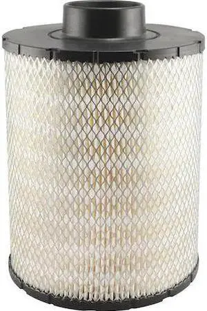 BALDWIN FILTERS PA2815 Air Filter,8-1/2 x 12-3/8 in.