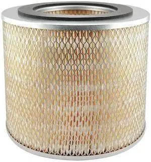 BALDWIN FILTERS PA1620 Air Filter,10-7/32 x 8-3/16 in.
