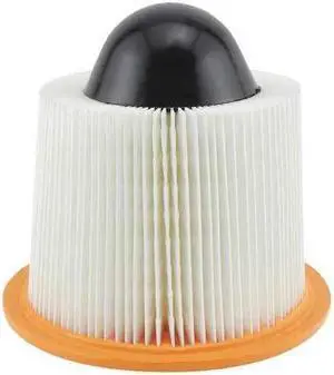 BALDWIN FILTERS PA4075 Air Filter,7 x 7-7/8 in.