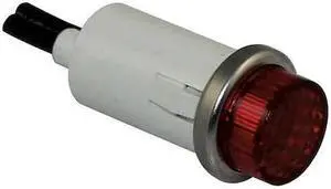 DAYTON 22NY42 Raised Indicator Light,Red,24V