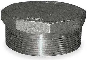 ZORO SELECT 60HP112N020 2" MNPT 316 SS Hex Plug