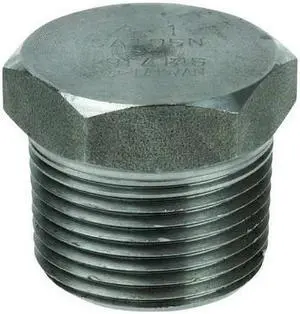 ZORO SELECT 1RTH8 1" MNPT 316 SS Hex Head Plug