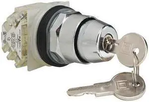 SCHNEIDER ELECTRIC 9001KS11K3H2 Non-Illum Selectr Switch,2P,Chrome,Cam E