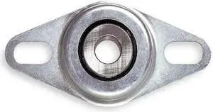 DAYTON 4X728 Flange Bearing,2-Bolt,Ball,5/8" Bore