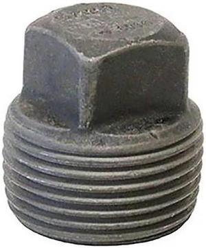 ANVIL 0361302003 2-1/2" MNPT Forged Steel Square Head Plug