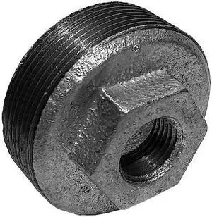 ZORO SELECT 5P893 2" MNPT x 1/2" FNPT Galvanized Hex Bushing