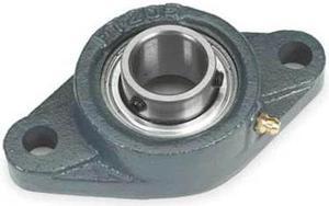 DAYTON 3FDA8 Flange Bearing,2-Bolt,Ball,3/4" Bore