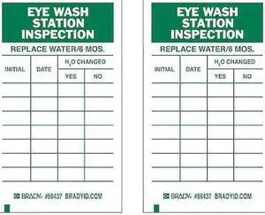 BRADY 86499 Tag, Safety, Heavy Duty Polyester, 7 in H x 4 in W, Green on White,