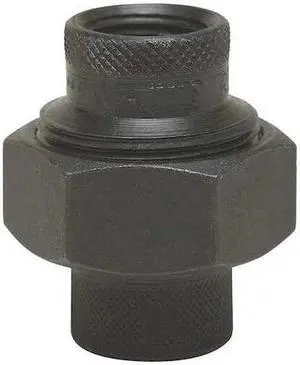 WATTS 1 LF3006 Dielectric Union,1 In,FIP,250 psi