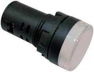 DAYTON 22NZ05 Raised Indicator Light,22mm,120V,White