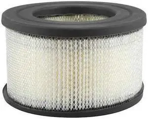 BALDWIN FILTERS PA4166 Air Filter,5-1/2 x 3-9/32 in.