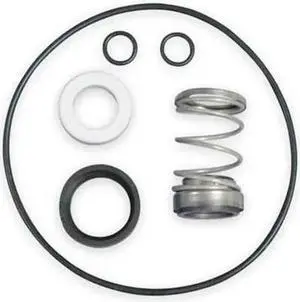 DAYTON 26KJ17 O Ring Kit,T31 Mech Seal