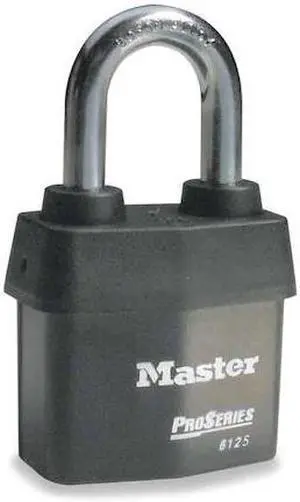 MASTER LOCK 6125 Padlock, Keyed Different, Standard Shackle, Rectangular Steel