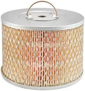 BALDWIN FILTERS PA669 Air Filter,5-15/16 x 4 in.