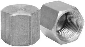 ANVIL 0318900008 Cap Cap, 1/8" Pipe, FNPT, Malleable Iron, Class 150