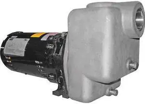 DAYTON 5GUP1 Centrifugal Pump, 3/4 HP, ODP, 3 Ph