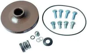 DAYTON 21TH19 Pump Repair Kit,For 2ZXJ5,2ZXJ6