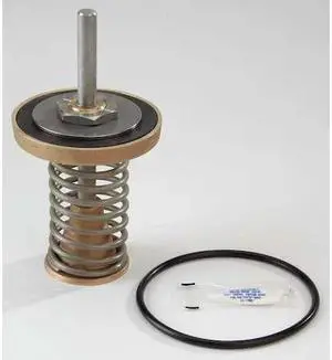 WATTS 909 2 1/2 - 3 1st Check Kit Repair Kit,Watts Series 909,2-1/2 to 3In