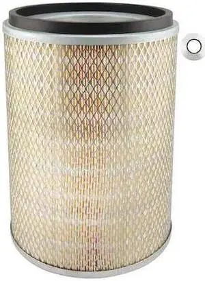 BALDWIN FILTERS PA3874 Air Filter,9-7/32 x 11-15/16 in.