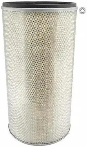BALDWIN FILTERS PA2454 Air Filter,11-7/8 x 22-1/2 in.