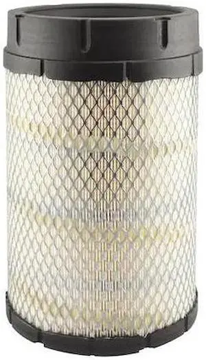 BALDWIN FILTERS RS5747 Air Filter, Element, Radial, 10-1/16in. L