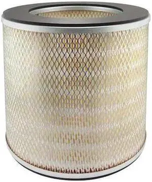 BALDWIN FILTERS PA1663 Air Filter,12-1/16 x 10-7/16 in.