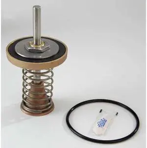 WATTS 909 2 1/2 - 3 2nd Check Kit Repair Kit,Watts Series 909,2-1/2 to 3In
