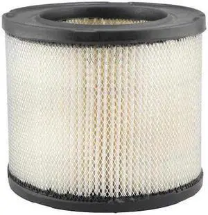 BALDWIN FILTERS PA2134 Air Filter,5-3/4 x 4-15/16 in.