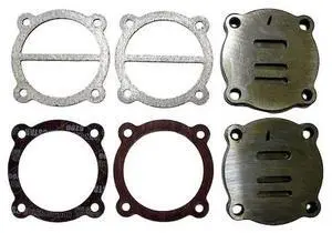 SPEEDAIRE PN22N041G Valve Assembly,PK2