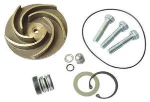 DAYTON 21TG88 Pump Repair Kit,For 2ZWY7A