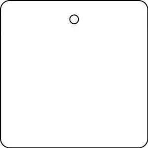 ZORO SELECT 22CM93 Tag, Blank, Plastic, 2 in H x 2 in W, White, Square, 10 PK